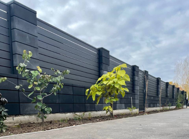 фото заборов и ворот